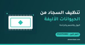 كيف أنظف السجاد من بول الحيوانات الأليفة وشعرها ورائحتها؟