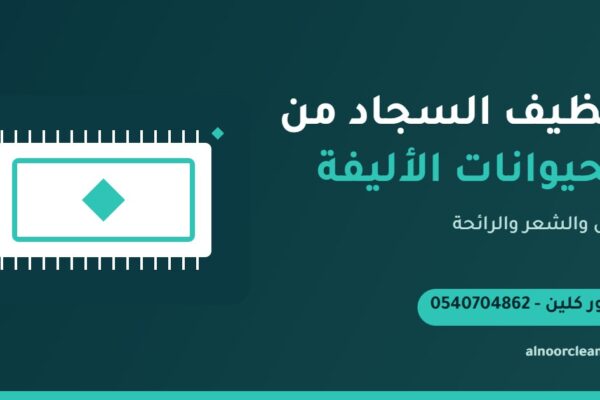 معالجة بقعة بول قطة على سجادة في منزل بالرياض